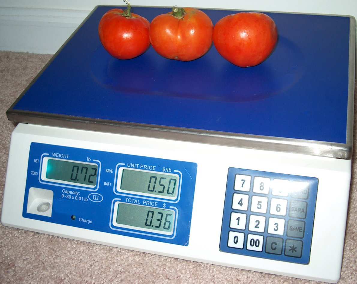 Master Scale CM 101