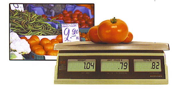 Computing Scale