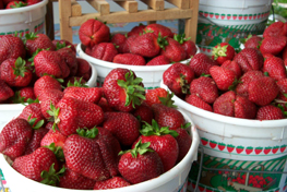 Great to weigh strawberry